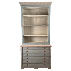 19th-Century Swedish Gustavian Style Painted Display Cabinet