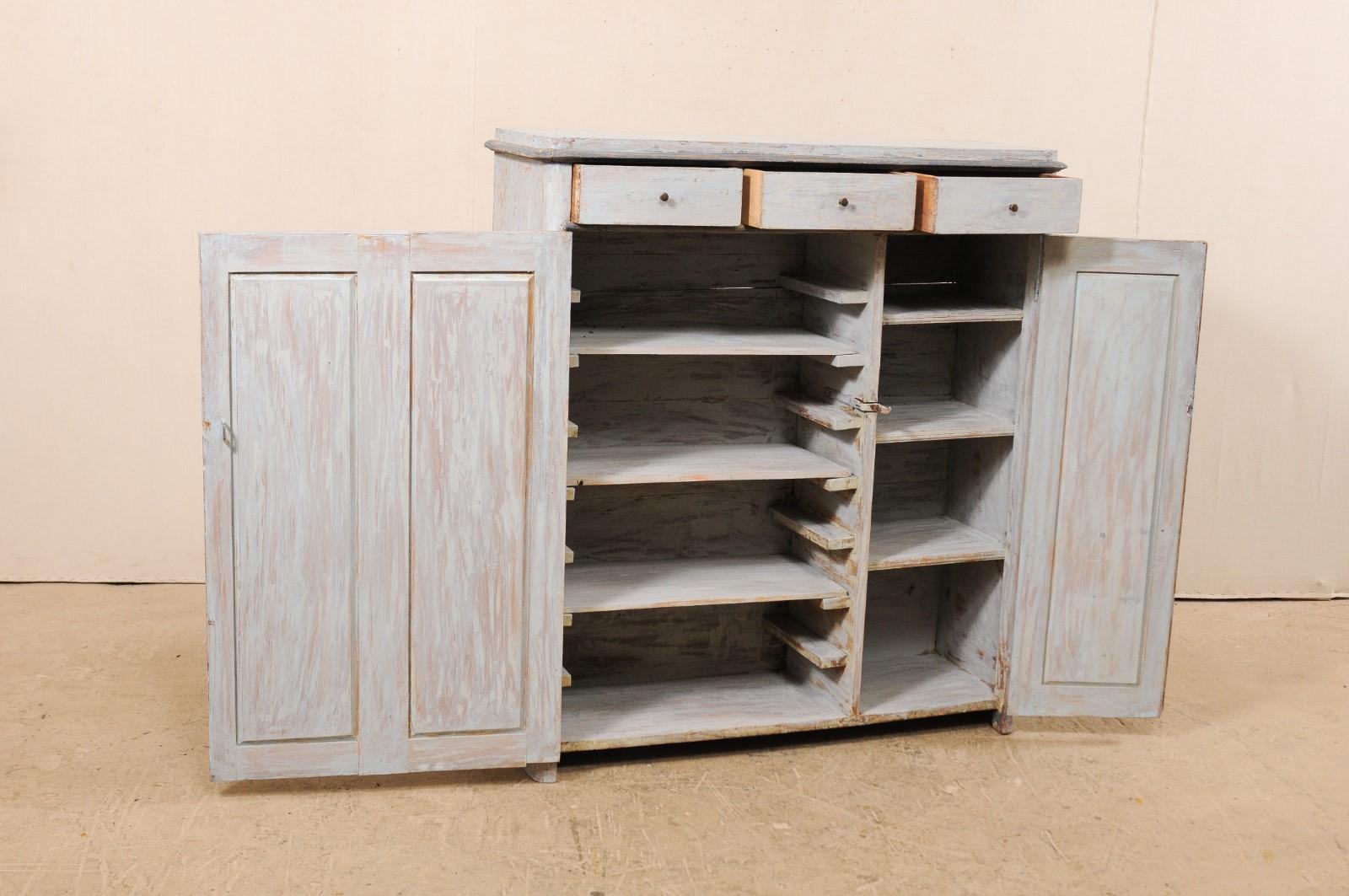 19th Century Swedish Pale Blue Wood Cabinet with Plentiful Shelving 1