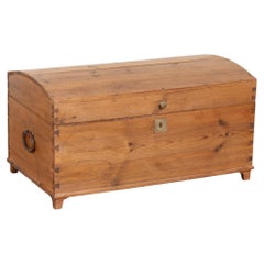 19th Century Swedish Pine Dome Top Trunk
