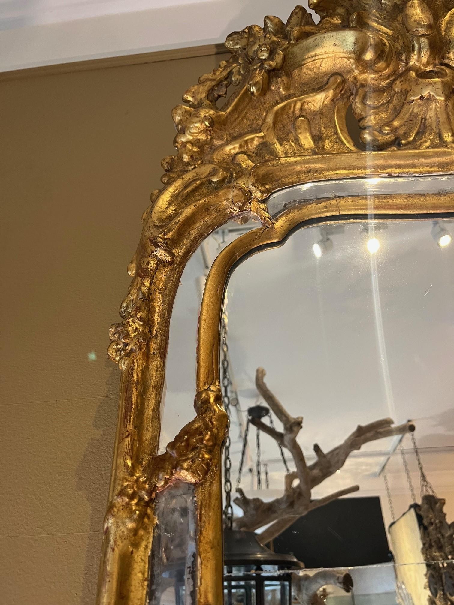 Glass 19th Century Swedish Rococo Giltwood Mirror For Sale