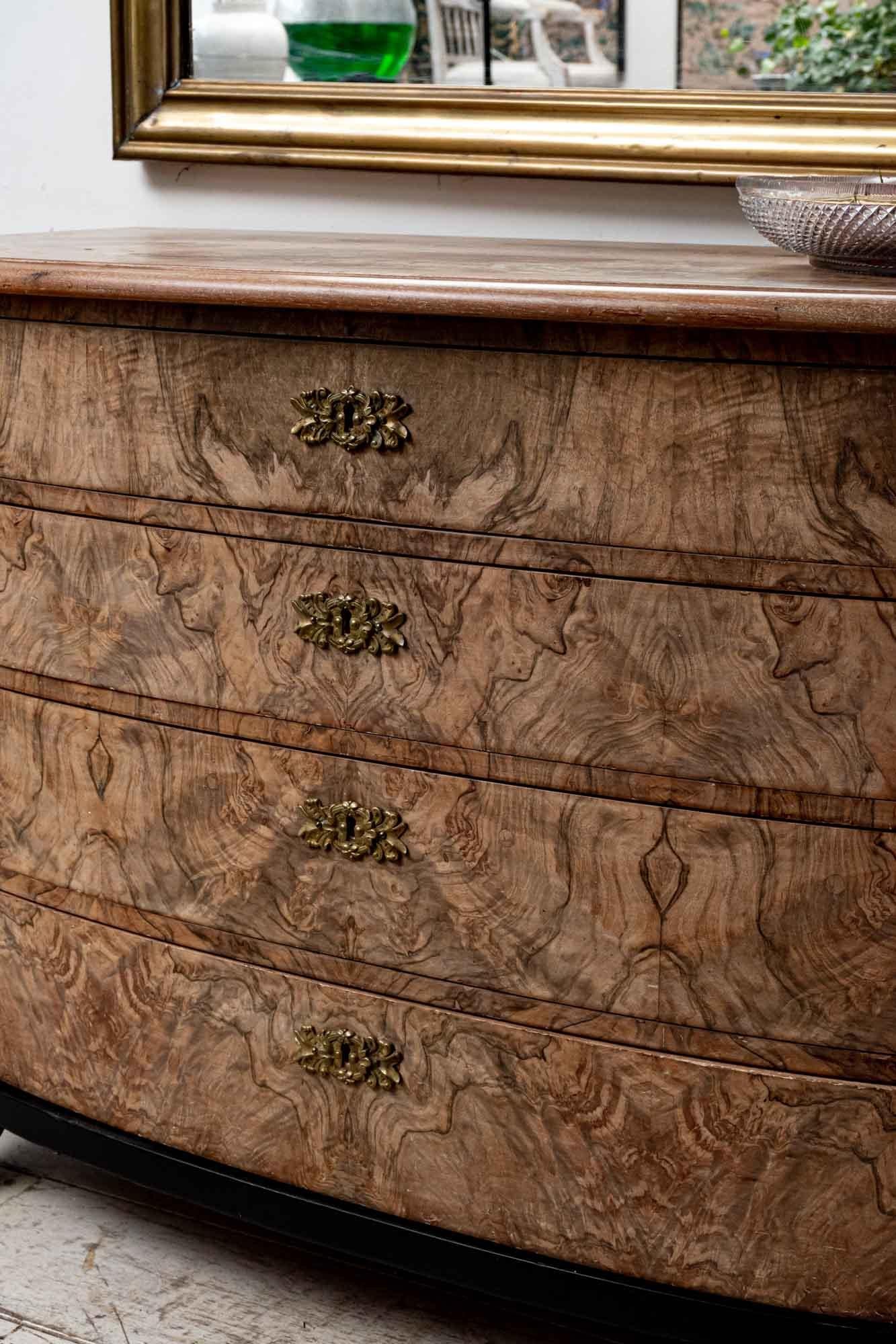 Neoclassical 19th Century Swedish Walnut Commode Chest of Drawers Ebonised Lions Paw Feet