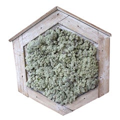 19th Century Swedish Wooden Window Frame with Moss Decoration