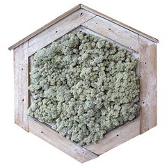19th Century Swedish Wooden Window Frame with Moss Decoration