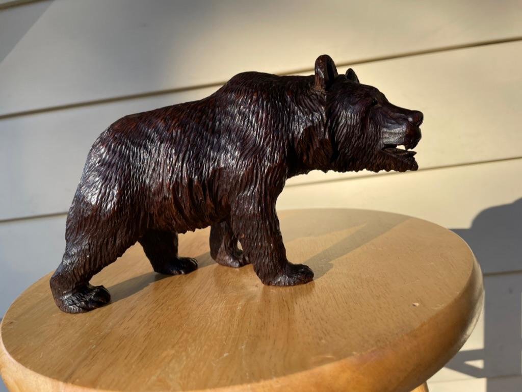Very fine carving of a black forest bear walking on all fours paws. The life-like bear realistically carved and stained by a master craftsman. The eyes inset with black glass, or obsidian. 
Overall very good antique condition. Chip on rear right