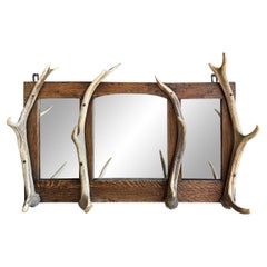 19th Century Swiss Black Forest Mirrored Hat and Coat Rack