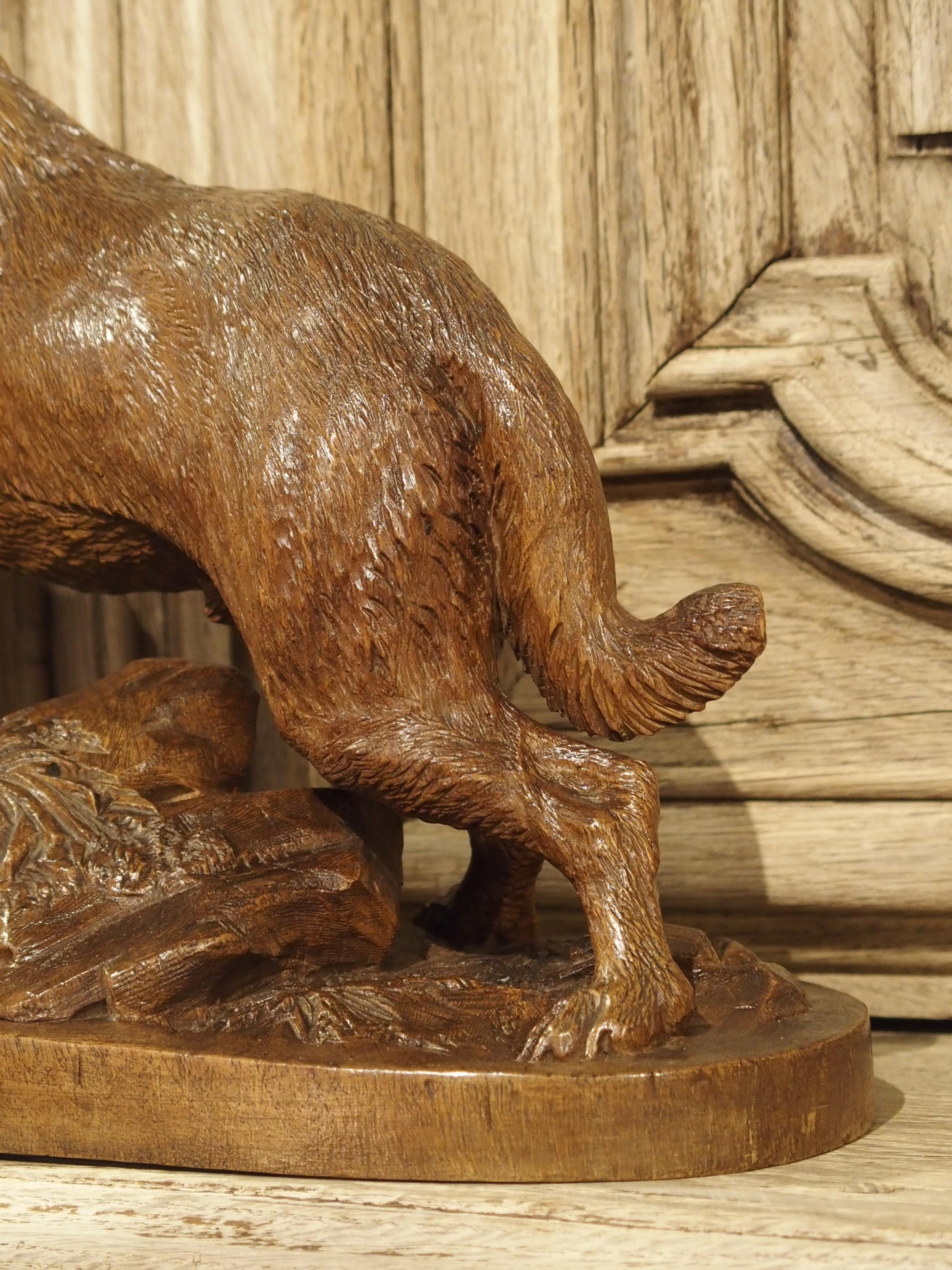 19th Century Swiss Black Forest St. Bernard Dog Sculpture In Excellent Condition In Dallas, TX