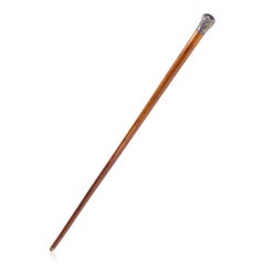 19th Century Sword Cane