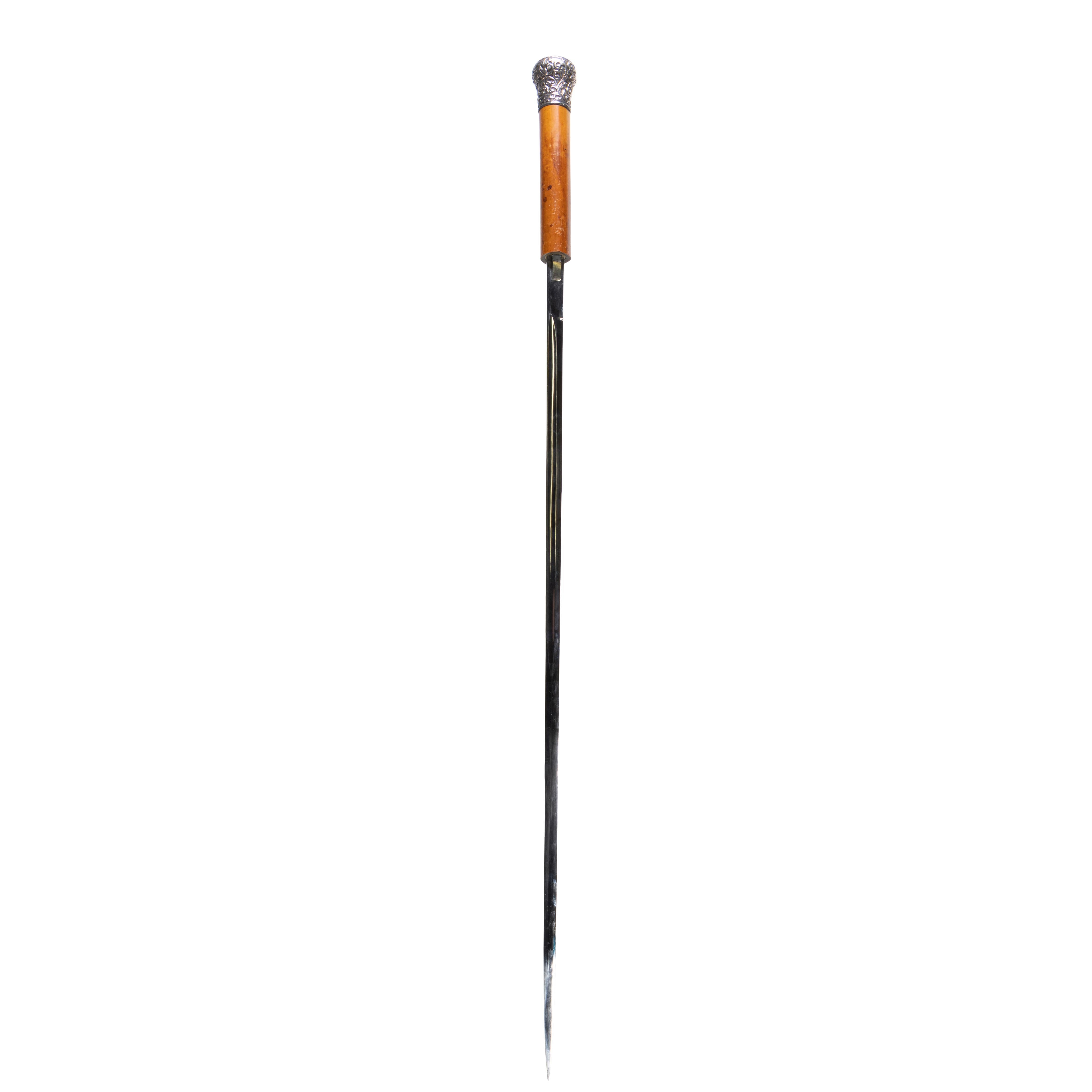 Hand-Crafted 19th Century Sword Cane