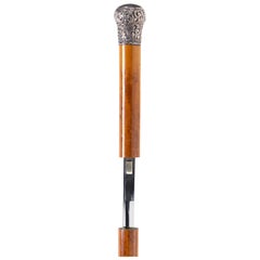 19th Century Sword Cane