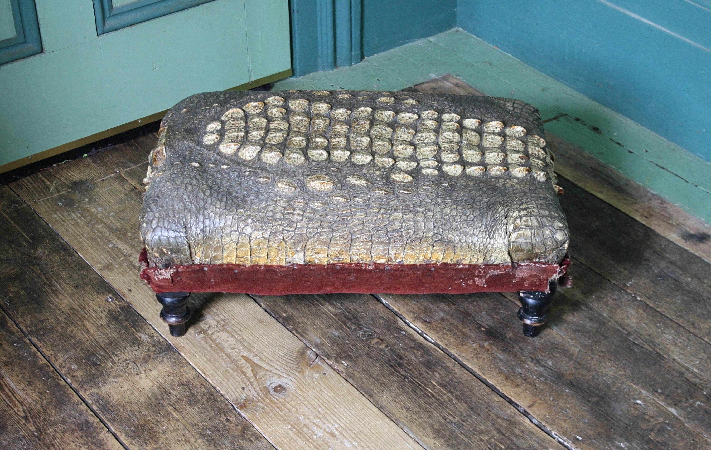 19th Century, Taxidermy Crocodile Skin and Velvet Footstool Ottoman In Good Condition In Lowestoft, GB