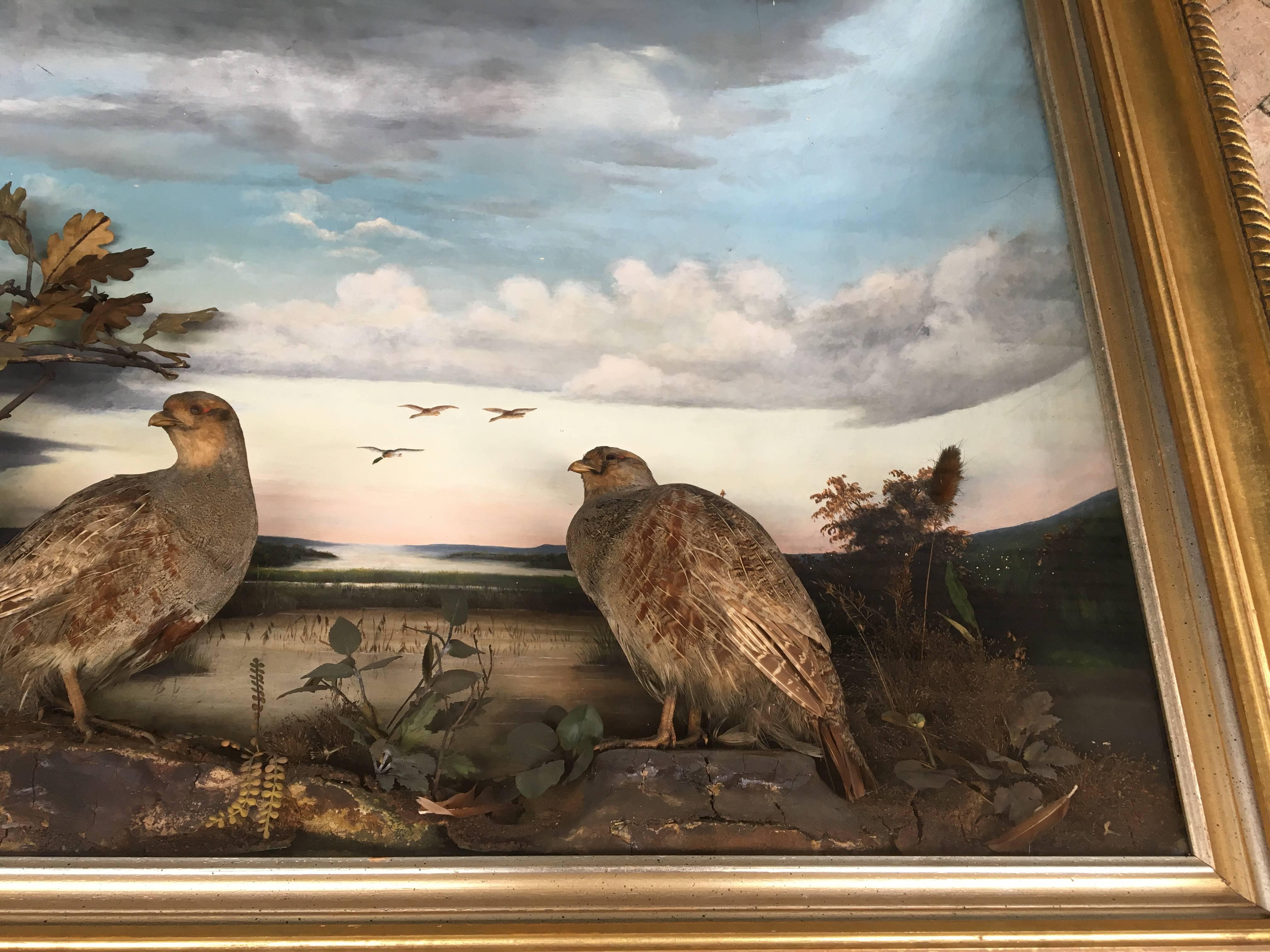 European 19th Century Taxidermy Diorama of Grey Partridges with Oil Painting