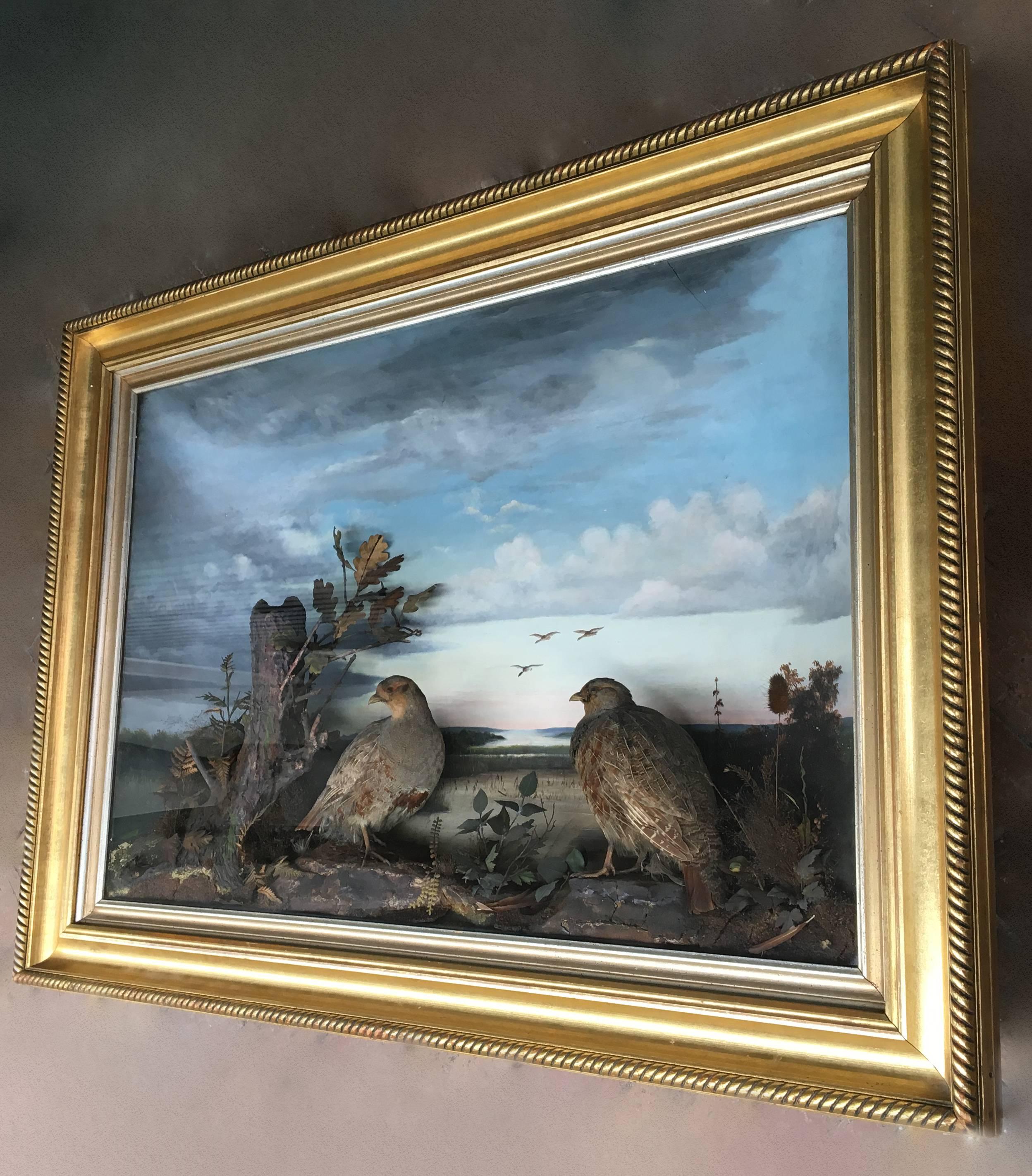 Oiled 19th Century Taxidermy Diorama of Grey Partridges with Oil Painting