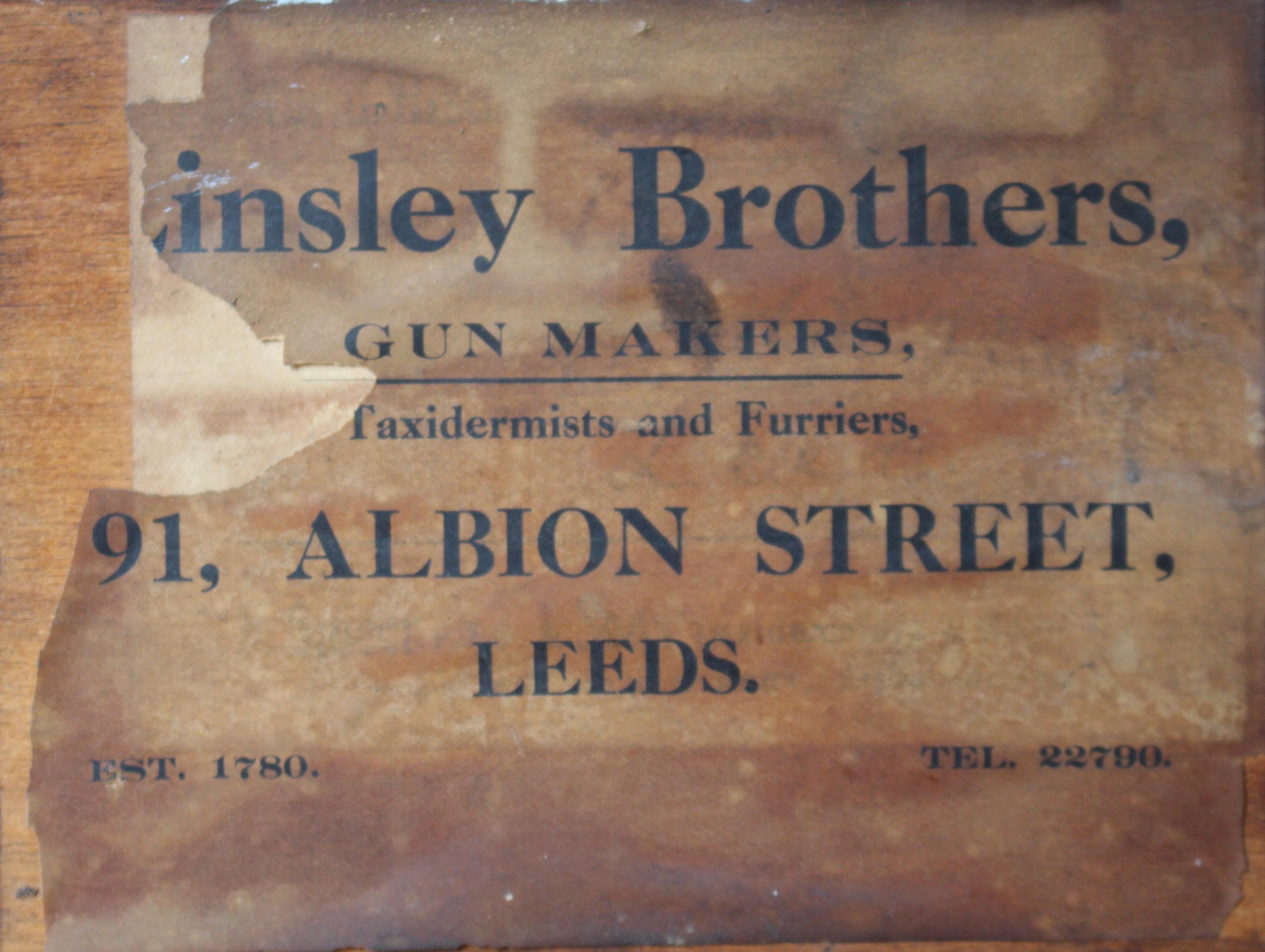 Jack Russell tassidermico del XIX secolo dei fratelli Linsley di Leeds in vendita 7
