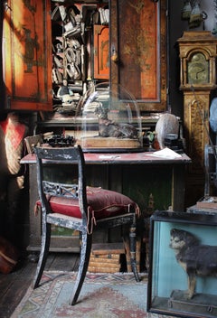 19th Century Taxidermy Miniature Pinscher (Reh Pinscher) Under Glass Dome Velvet