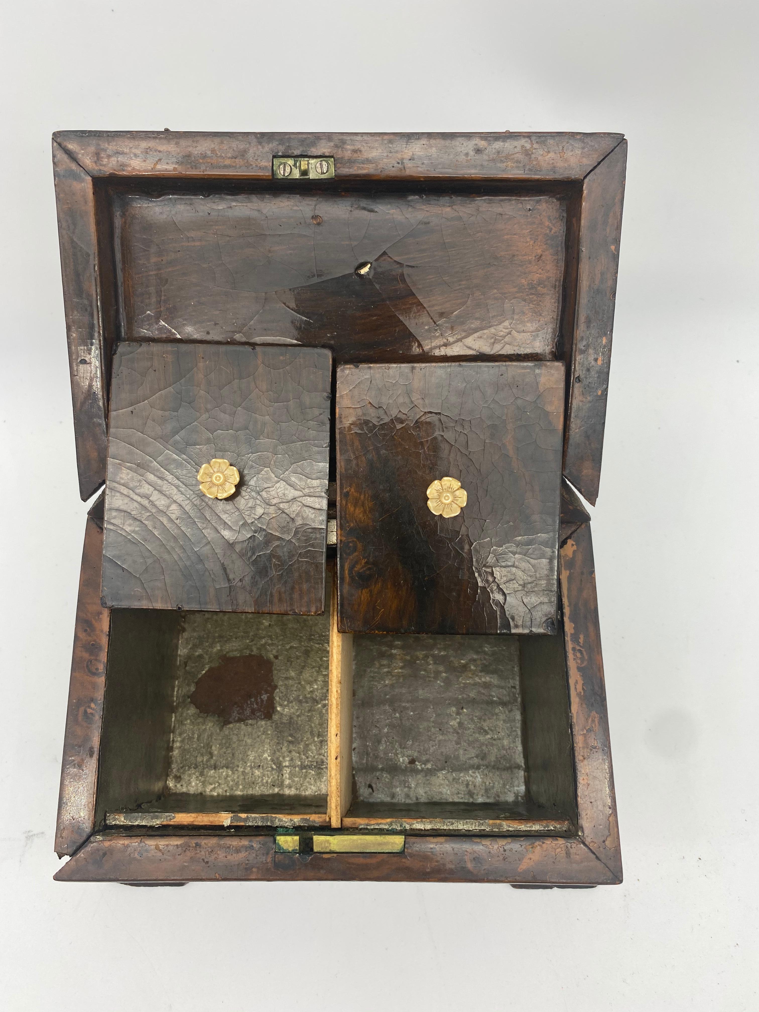19th Century Tea Caddy with Brass Ornaments For Sale 2