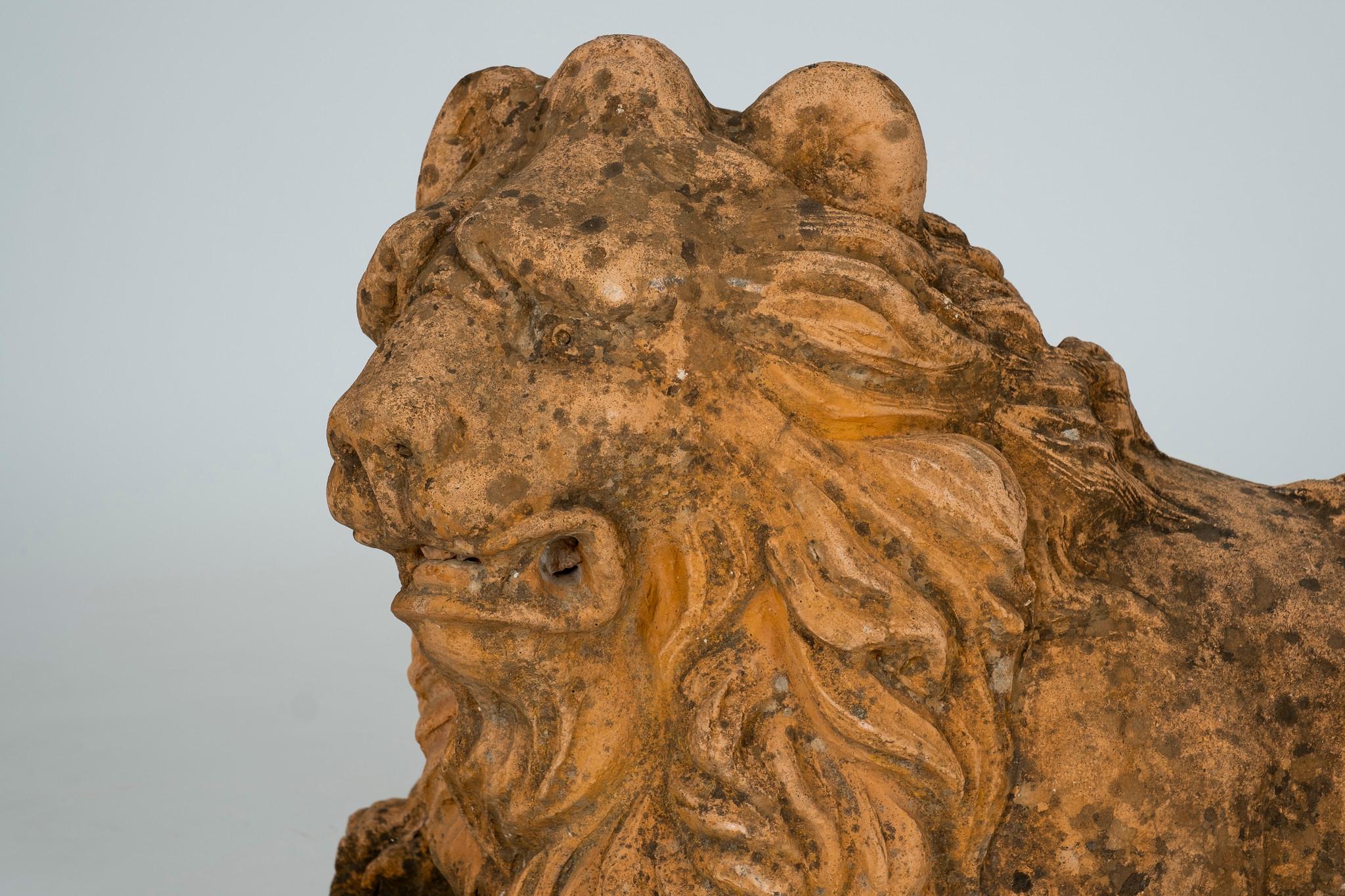 italien Lions de jardin en terre cuite du 19e siècle en vente