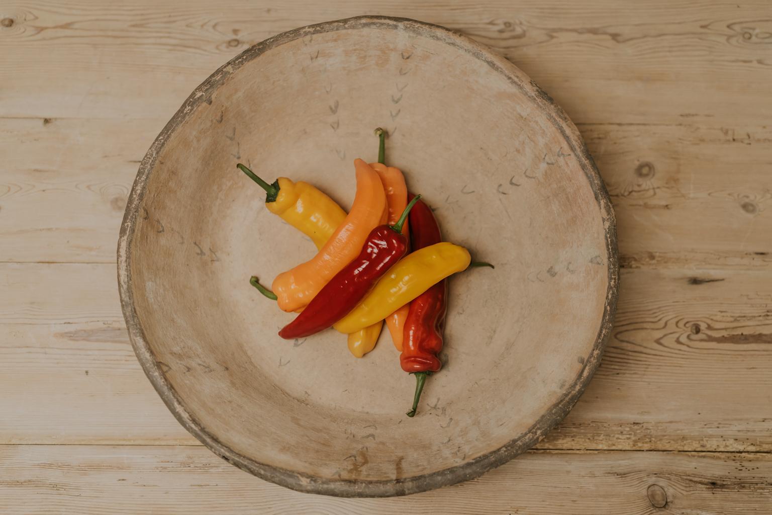 19th Century Terracotta Bowl 1