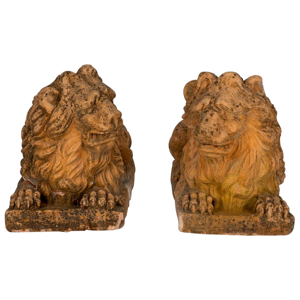 A large opposing pair of Italian mid-19th century terracotta lions. Each lion is raised on a rectangular base. Beautiful expressive faces and wonderfully carved manes with great patina.