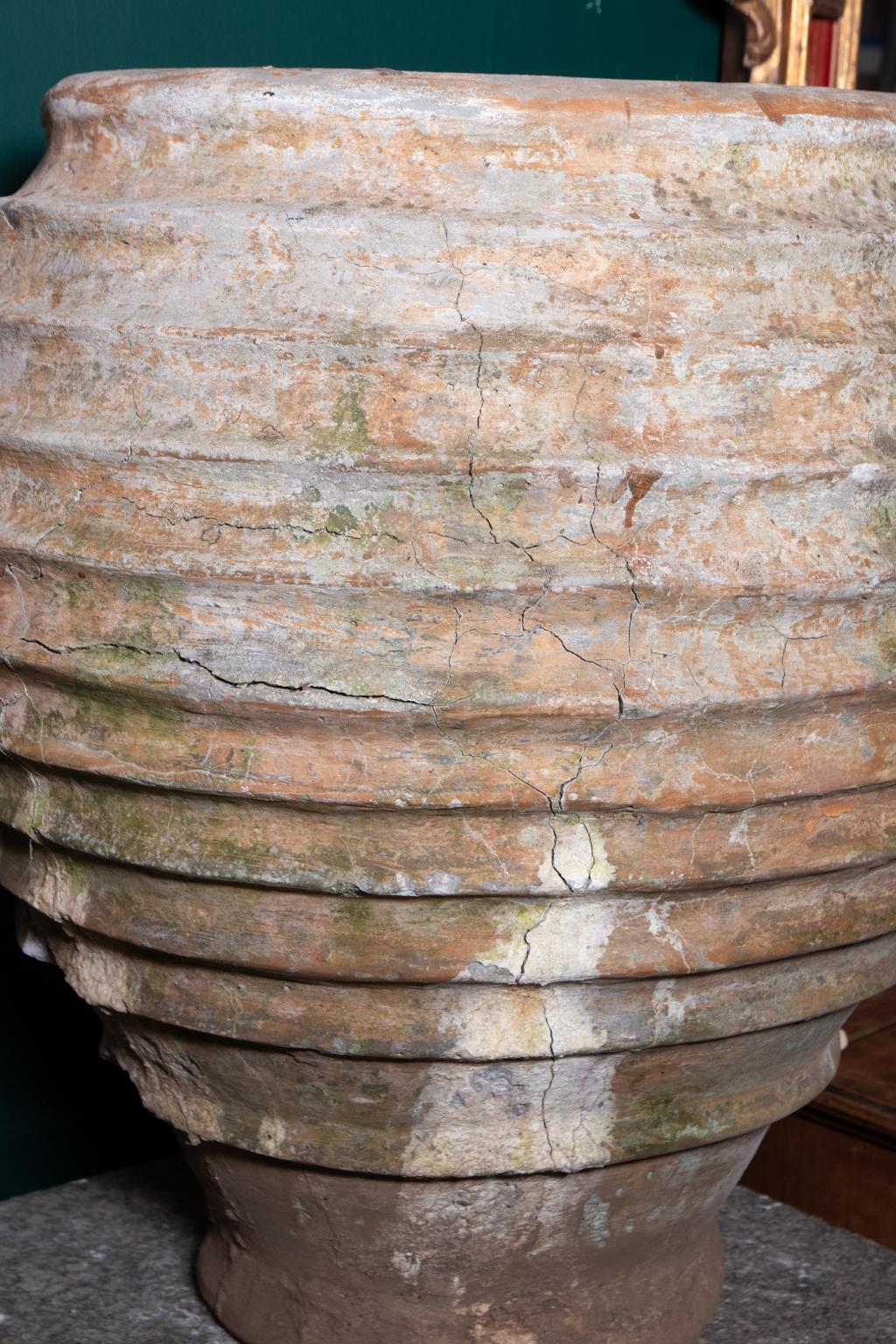 19th century pair of Mediterranean ribbed terracotta olive jars with naturally weathered surface.
  