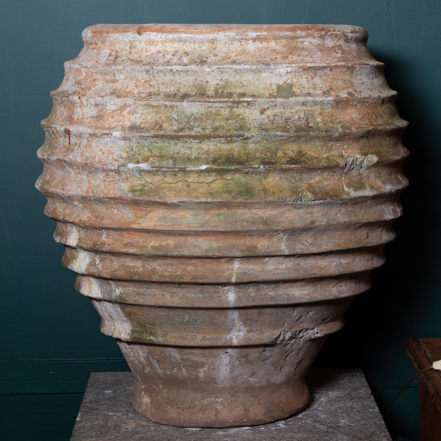 19th Century Terracotta Ribbed Olive Jars 2