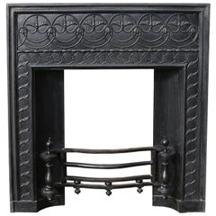 19th Century Thomas Elsley Cast Iron Fire Insert