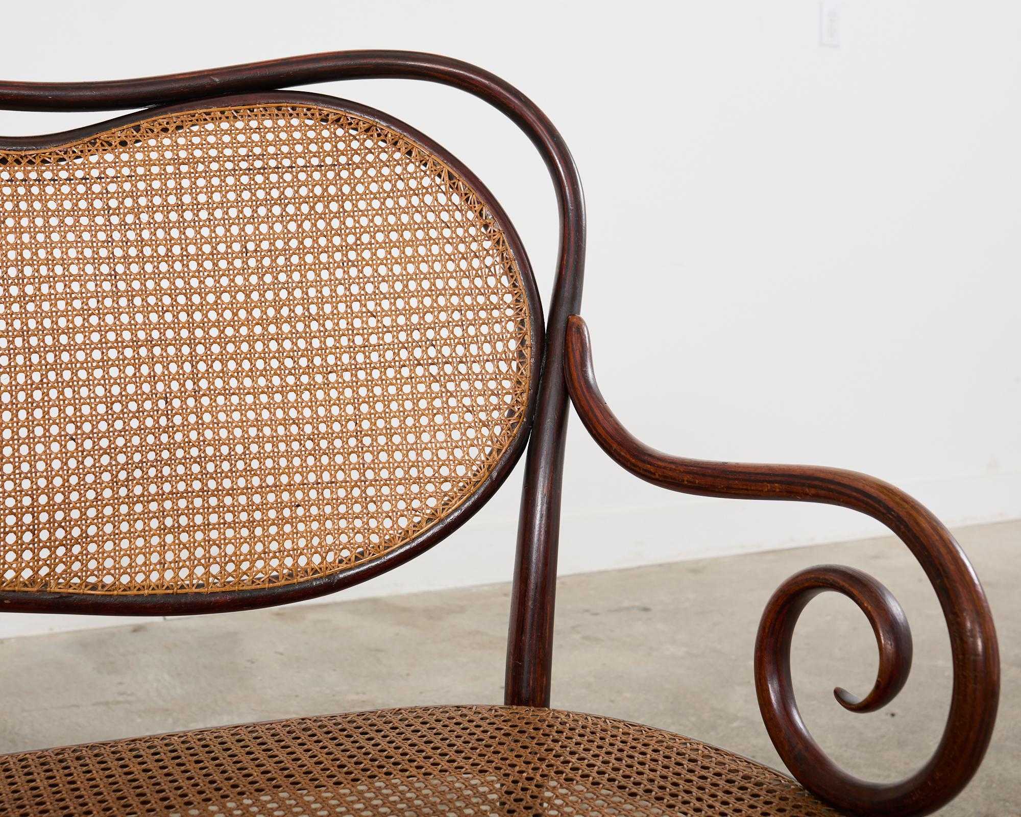 19th Century Thonet No. 5 Bentwood Cane Settee 5