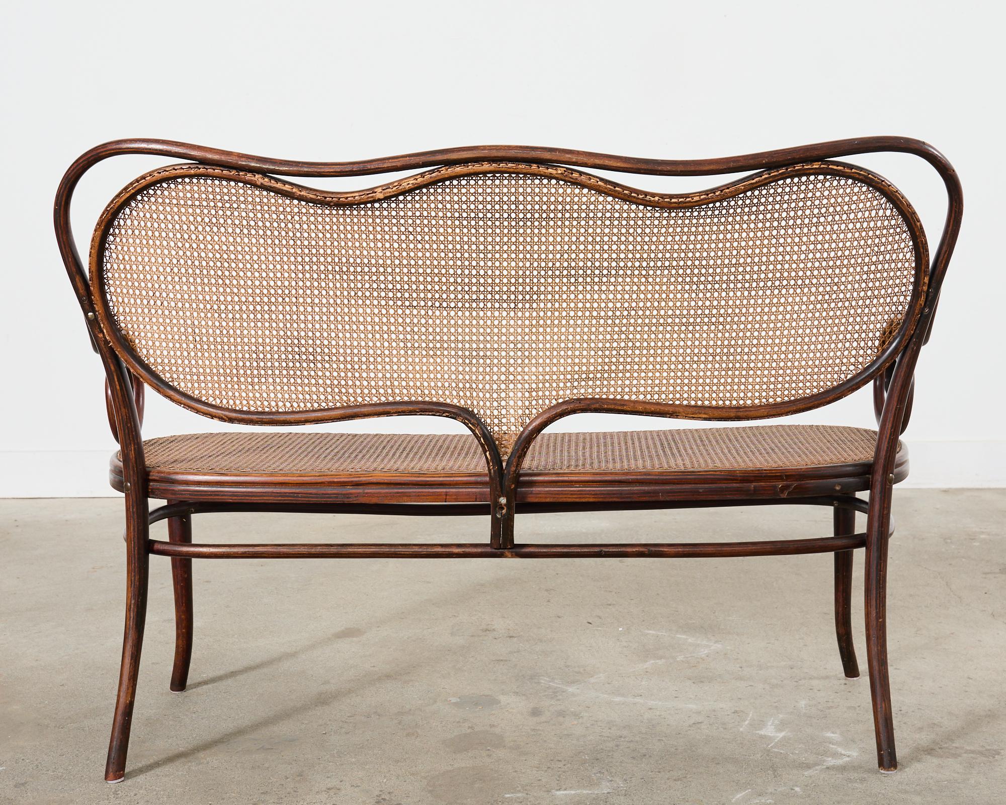 19th Century Thonet No. 5 Bentwood Cane Settee 11