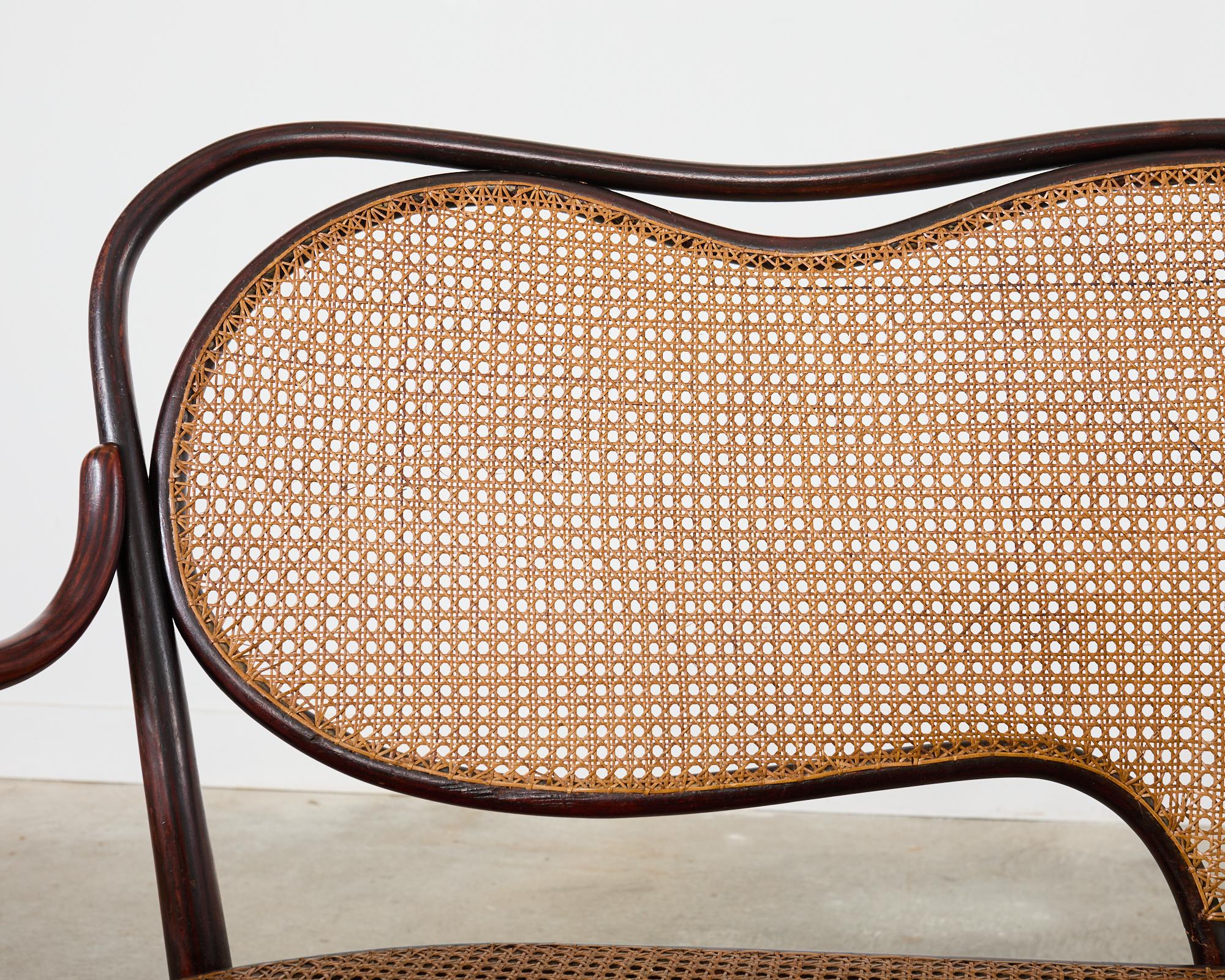 19th Century Thonet No. 5 Bentwood Cane Settee 3