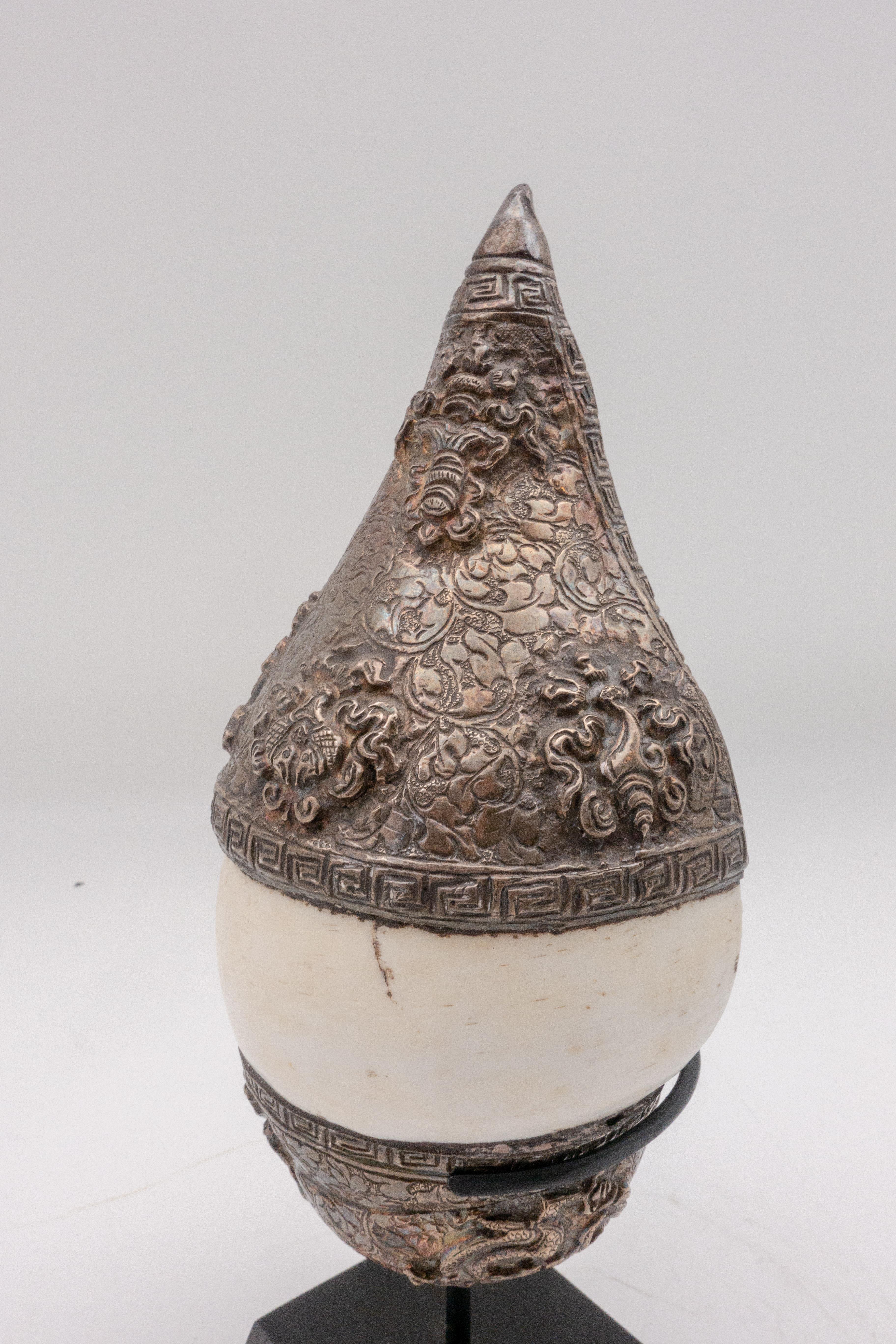 tibetan conch shell