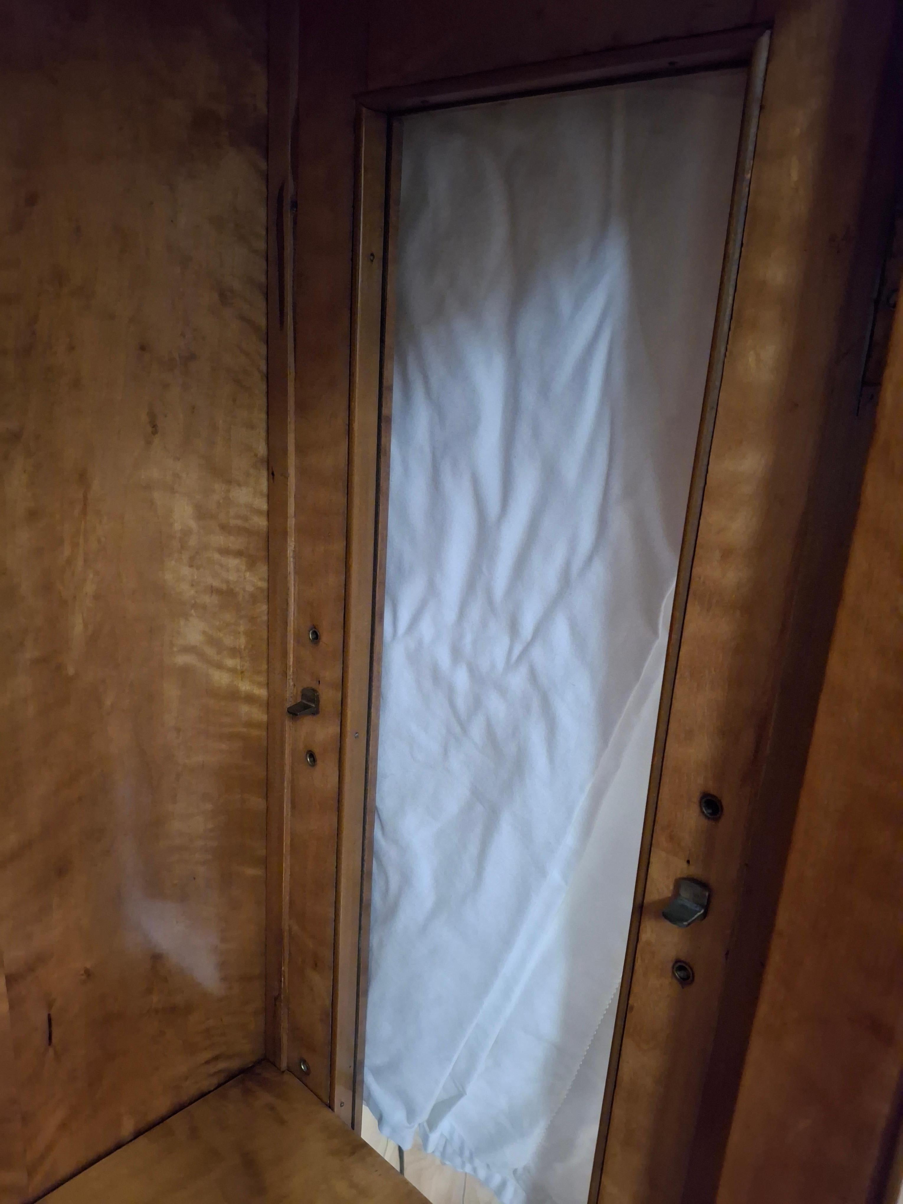 Vitrine/armoire en érable tigré du 19e siècle en vente 4
