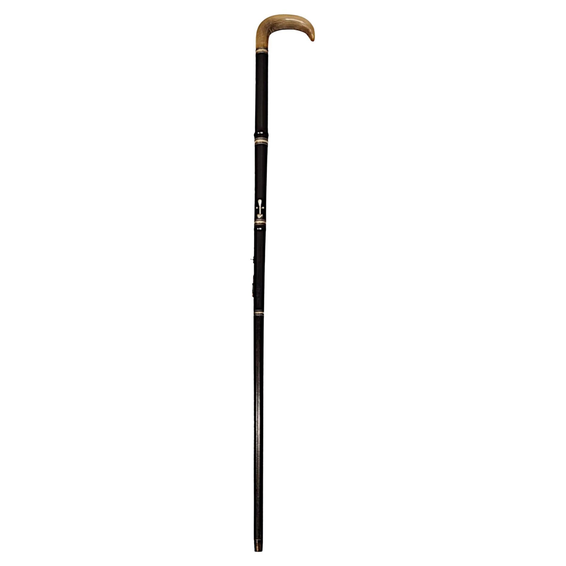 19th Century Timber Flute Walking Stick with Horn Handle
