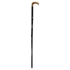 19th Century Timber Flute Walking Stick with Horn Handle