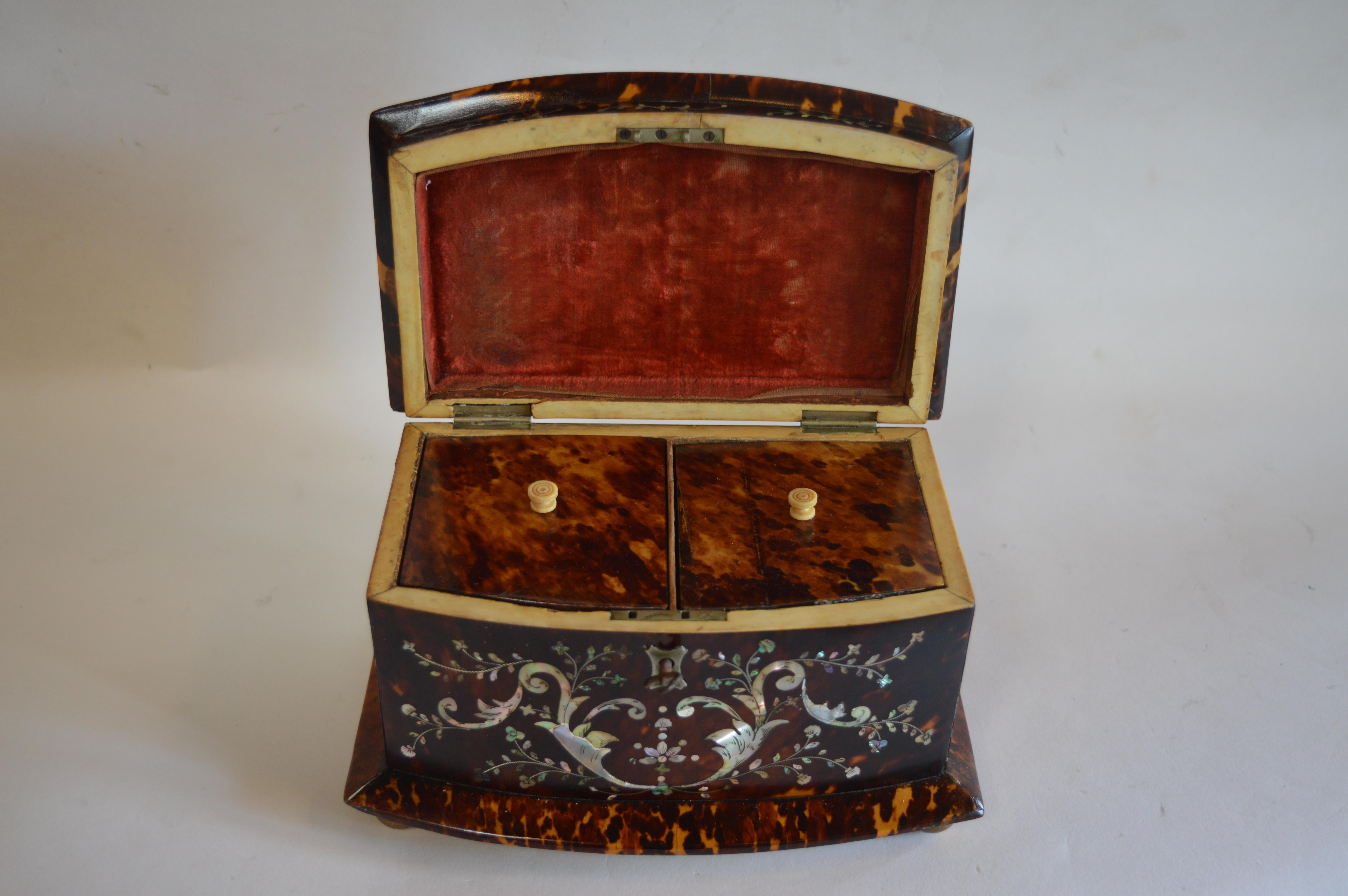 19th Century Tortoise Shell and Mother of Pearl Inlaid Tea Caddy 1