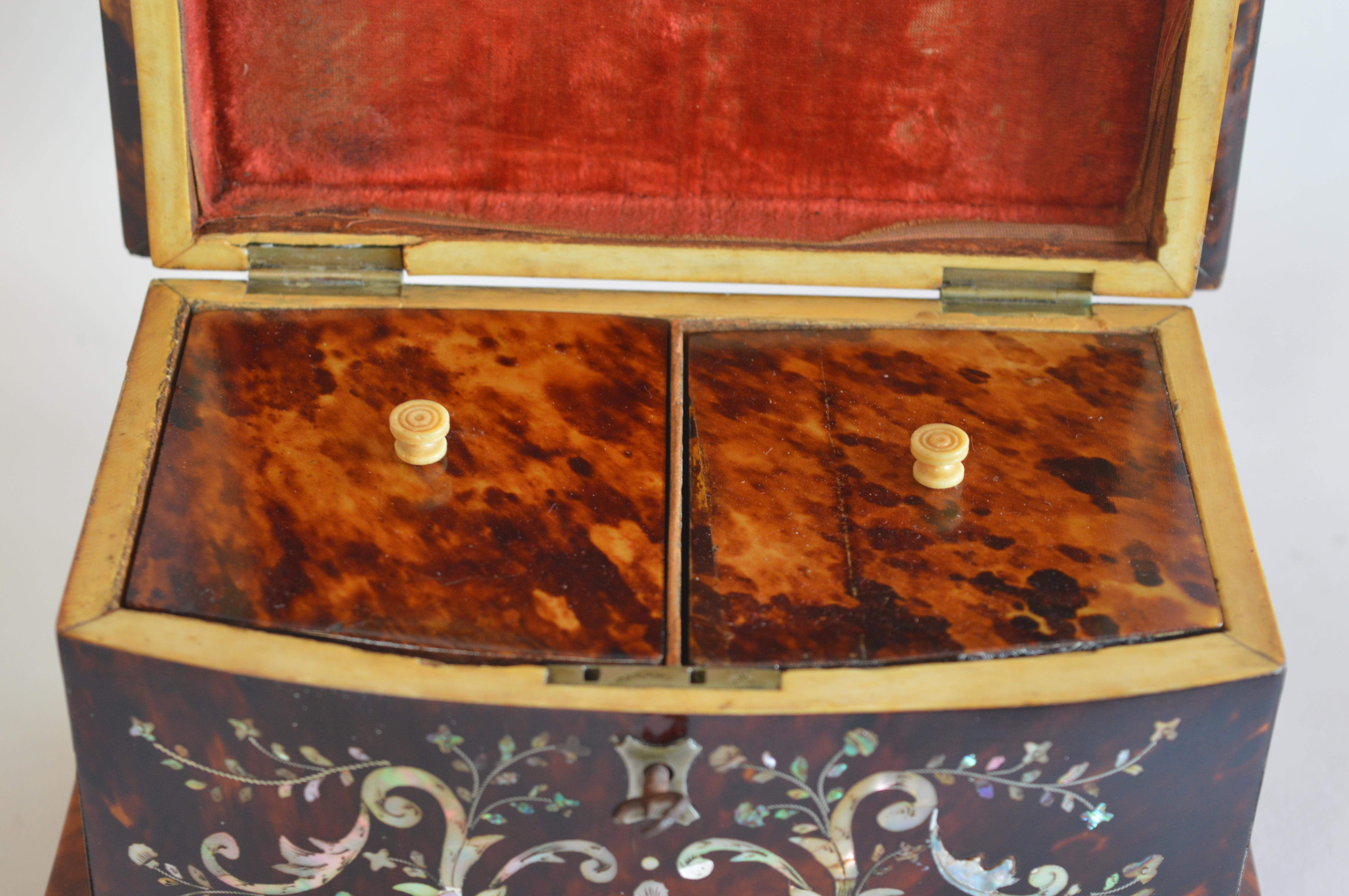 19th Century Tortoise Shell and Mother of Pearl Inlaid Tea Caddy 2