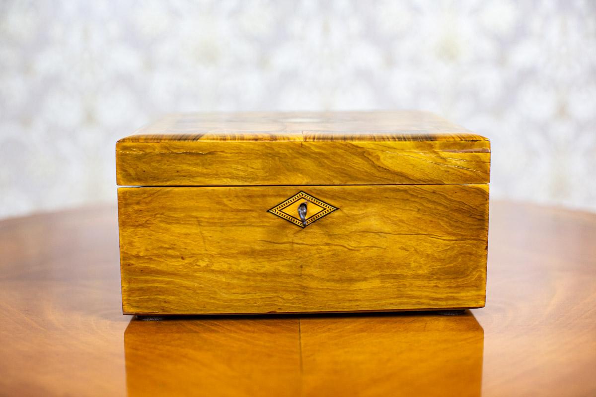 Veneer 19th-Century Pine Lap Desk Inlaid with Mother-of-Pearl For Sale