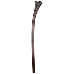 19th Century Tribal Fijian War Club