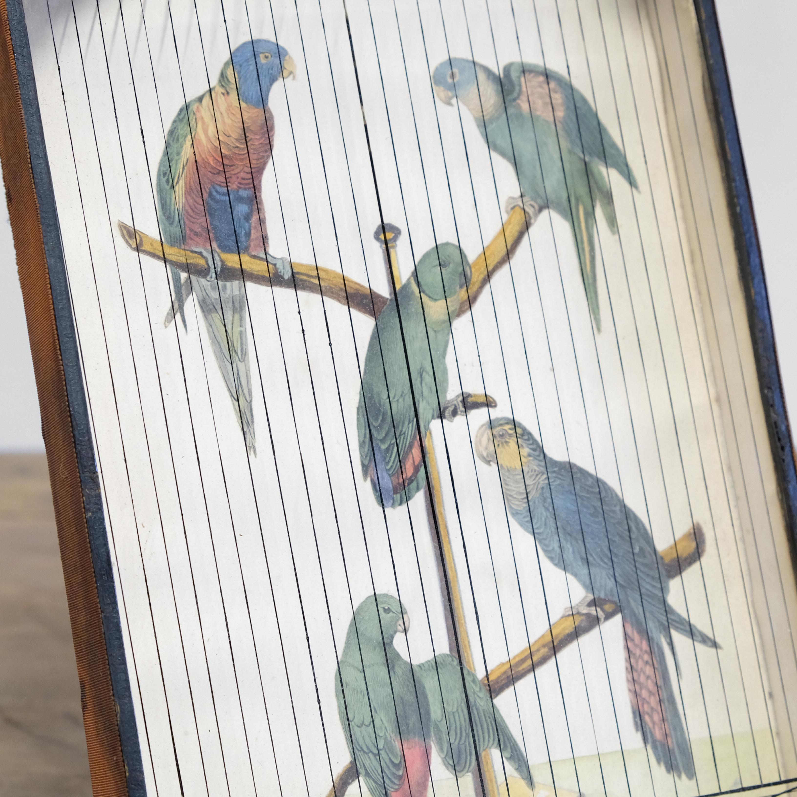 Louis Philippe 19th Century Trompe L'Oeil Parrot Cage, Hand Painted & Penwork, French, Original