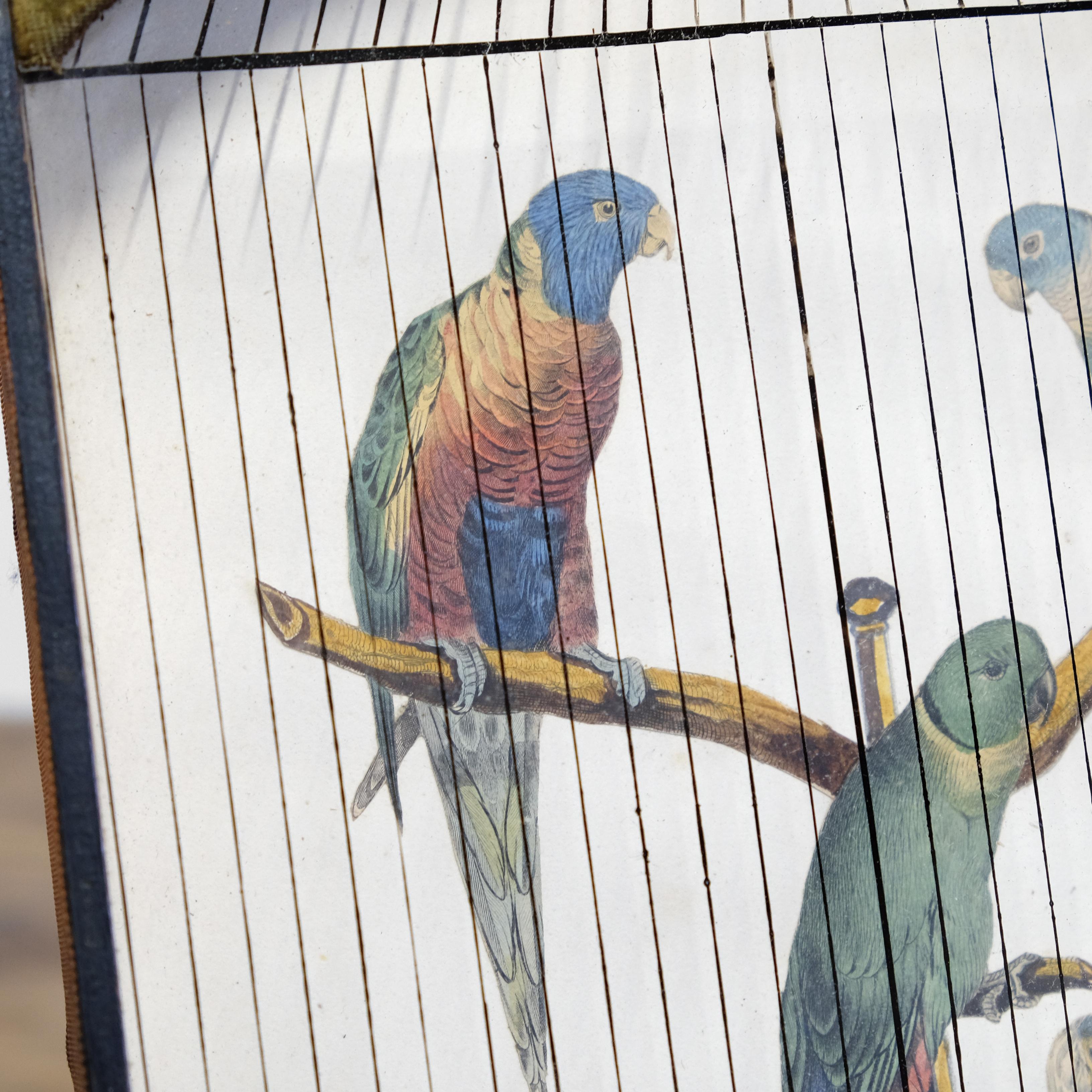 19th Century Trompe L'Oeil Parrot Cage, Hand Painted & Penwork, French, Original In Fair Condition In Totnes, GB
