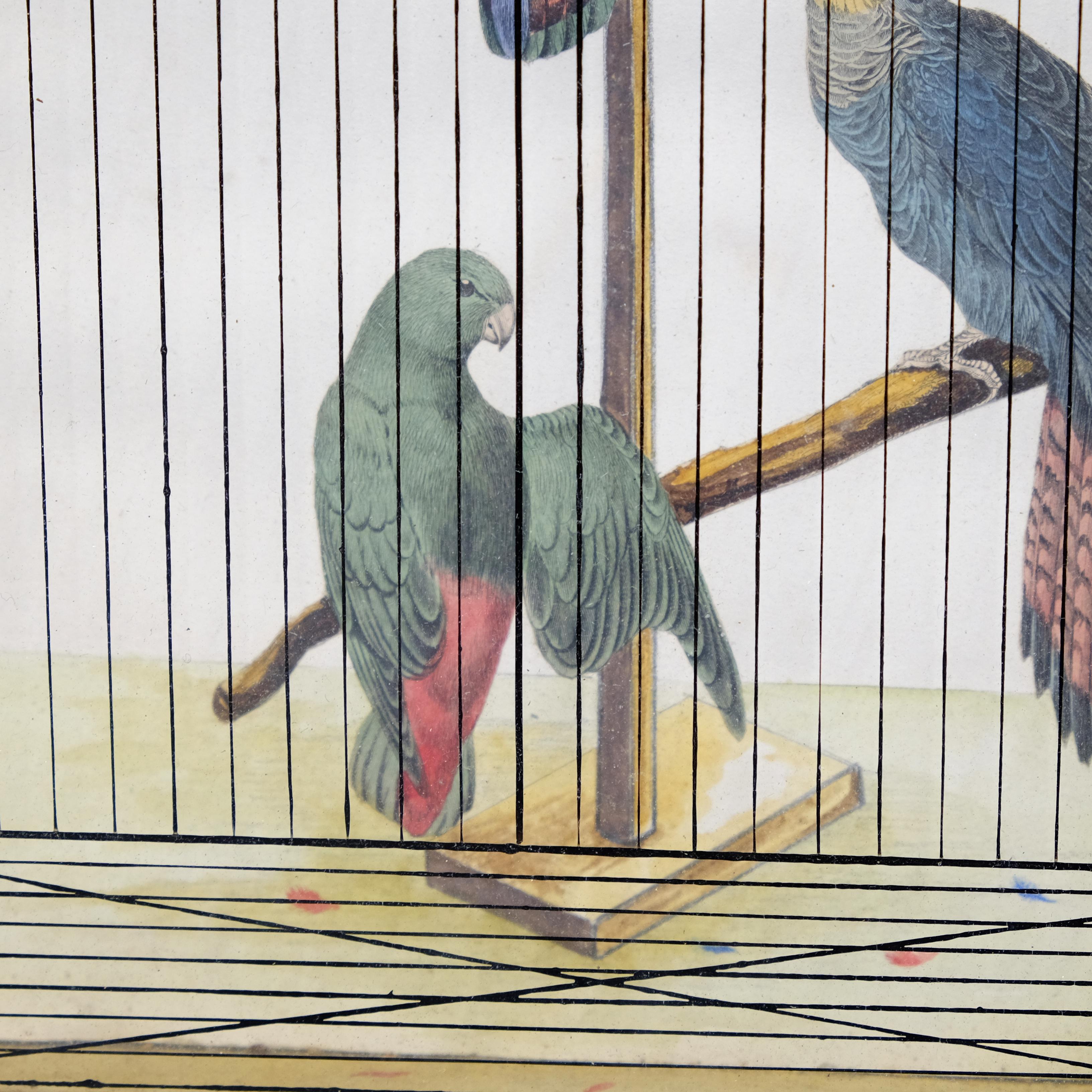 Mid-19th Century 19th Century Trompe L'Oeil Parrot Cage, Hand Painted & Penwork, French, Original