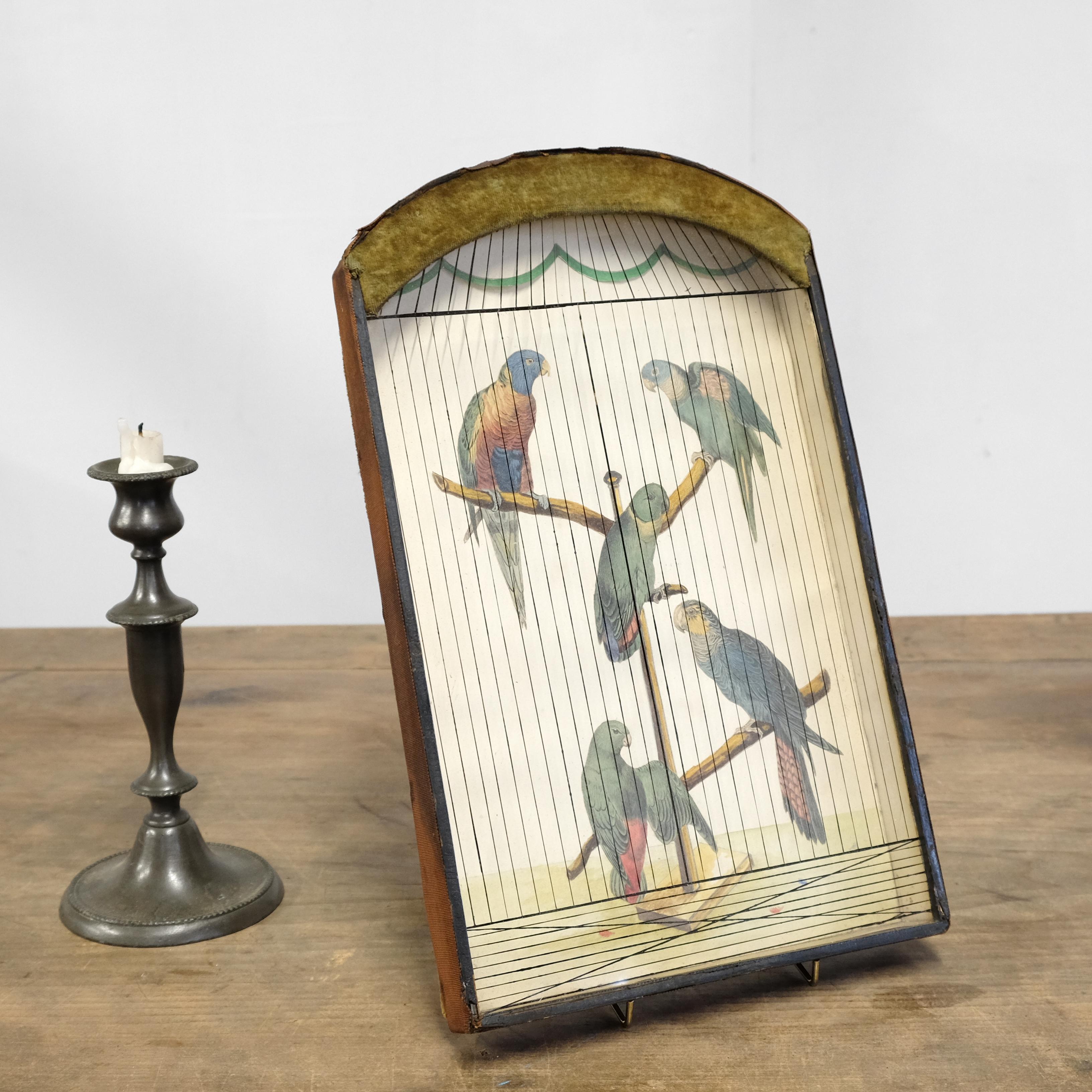 19th Century Trompe L'Oeil Parrot Cage, Hand Painted & Penwork, French, Original 2