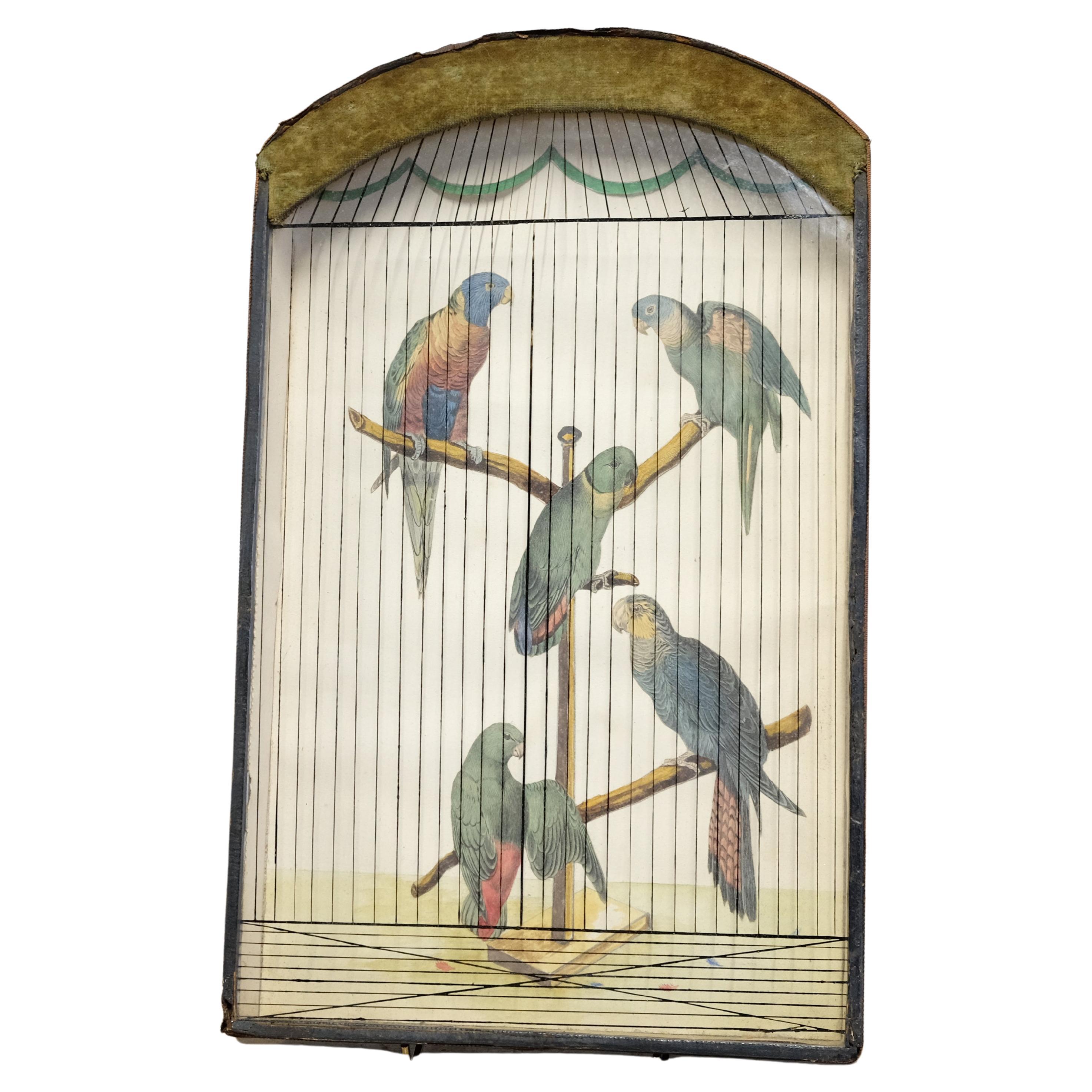 19th Century Trompe L'Oeil Parrot Cage, Hand Painted & Penwork, French, Original