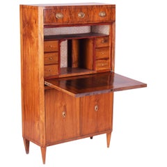 19th Century Unique Czech Walnut Biedermeier Secretary/Writing Desk, 1830s