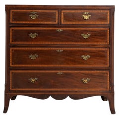 19th Century United Kingdom Rich Mahogany Mahogany Chest Of Drawers
