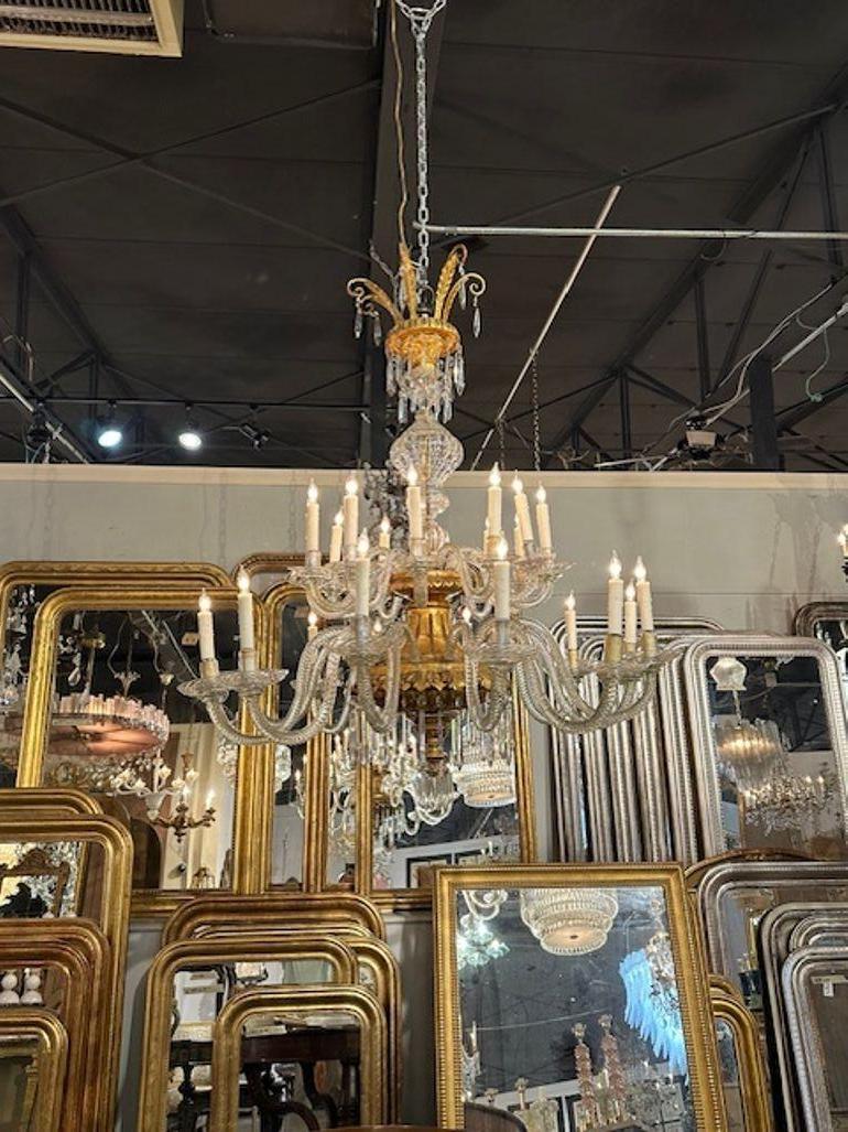 Eccezionale lampadario veneziano a bracci in vetro e legno dorato del XIX secolo con 24 luci. È una dichiarazione davvero impressionante. Stupefacente!