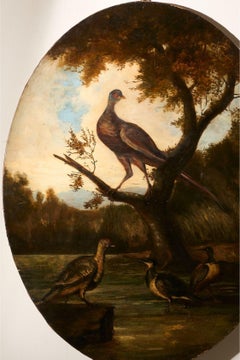 19th Century Very large oval oil on canvas painting of birds