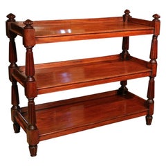 19th Century Victorian Antique Mahogany Étagère