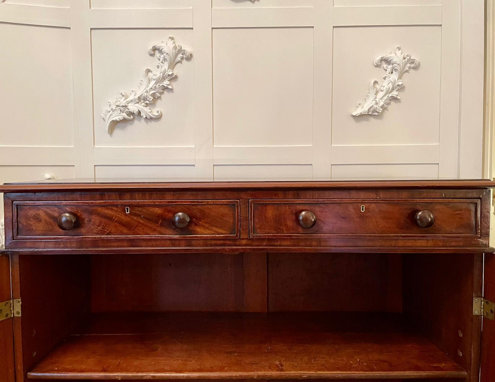 19th Century Victorian Antique Mahogany Side Cabinet 3