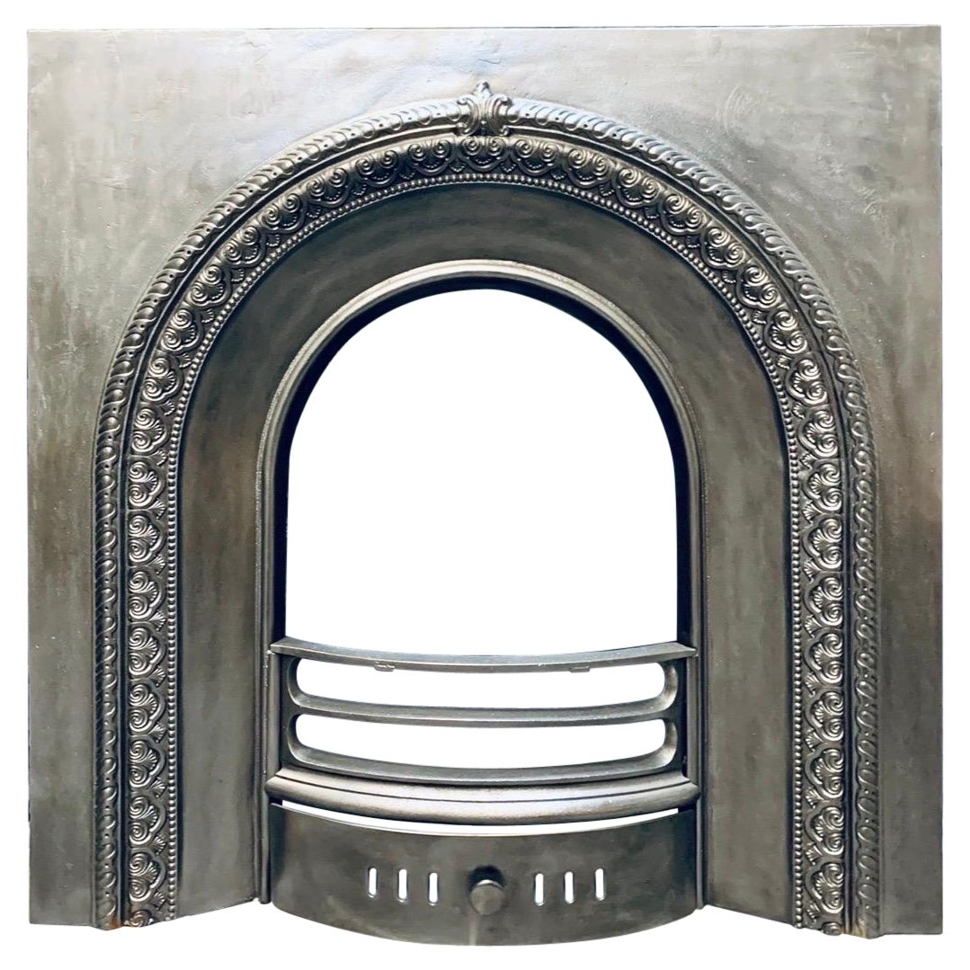 19th Century Victorian Arched Cast Iron Fireplace Insert.