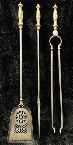 19th Century Victorian Brass and Steel Companion Set Fire Irons