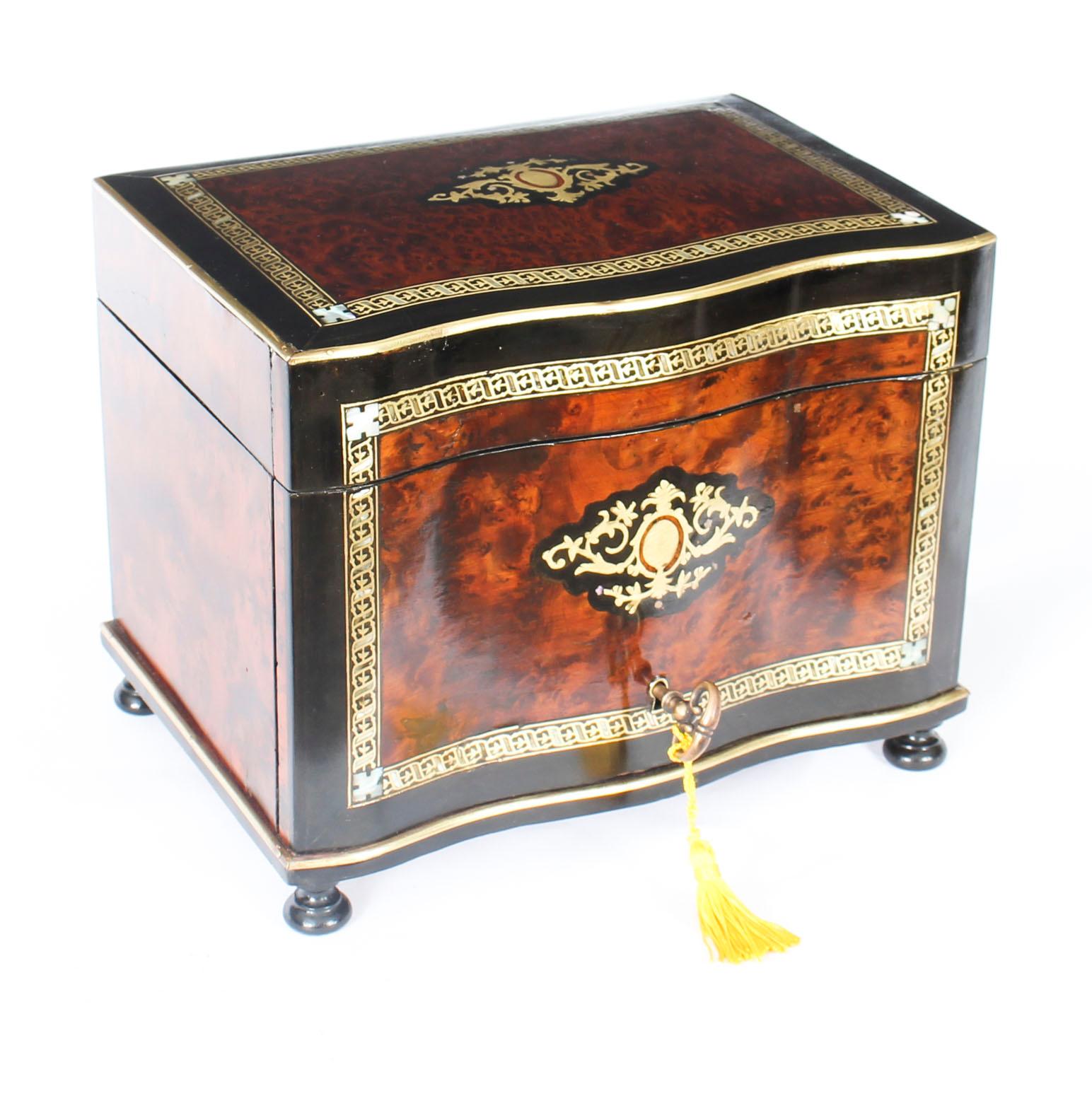19th Century Victorian Burr Walnut & Boule Serpentine Humidor 5